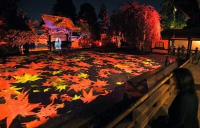 Lesen Sie mehr über den Artikel  GeoBox Projection Mapping in Japan Kyoto Kodai-ji Temple